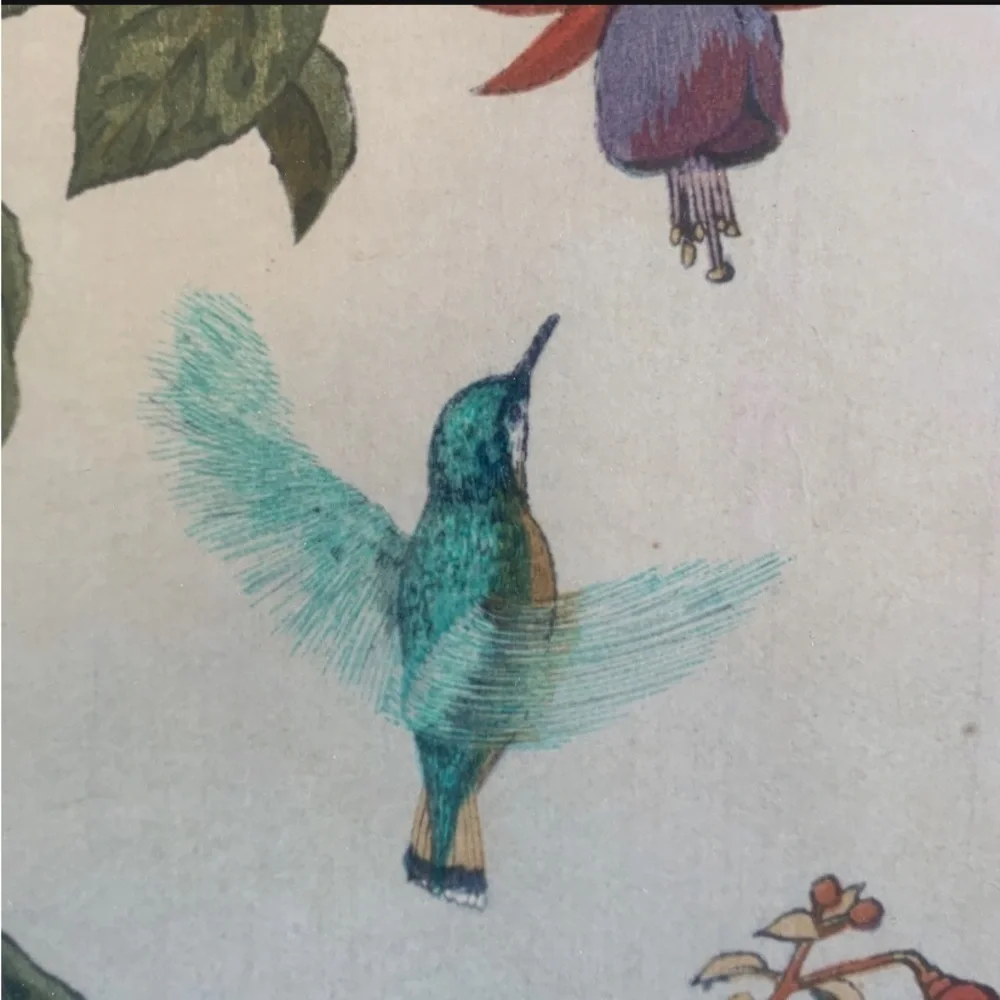 Toshi Yoshida Vintage Woodblock Framed Hummingbird and Fuchsia Signed Art Print - Picture 6 of 9